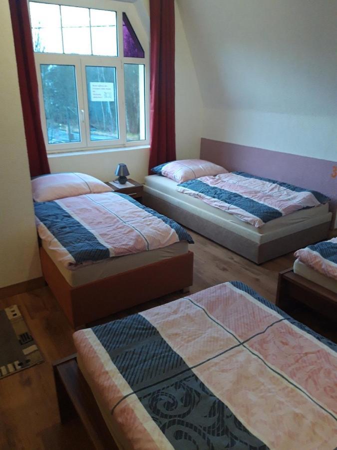 Ferienwohnung Erz-Hostel Thermalbad Wiesenbad Eksteriør billede