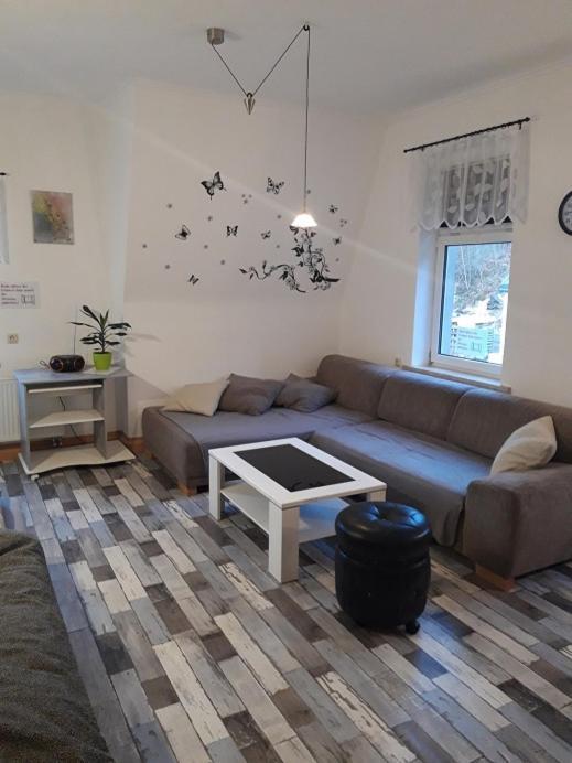 Ferienwohnung Erz-Hostel Thermalbad Wiesenbad Eksteriør billede