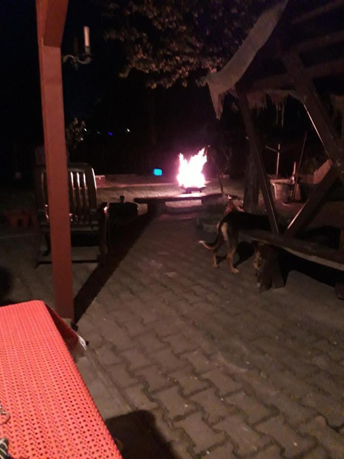 Ferienwohnung Erz-Hostel Thermalbad Wiesenbad Eksteriør billede